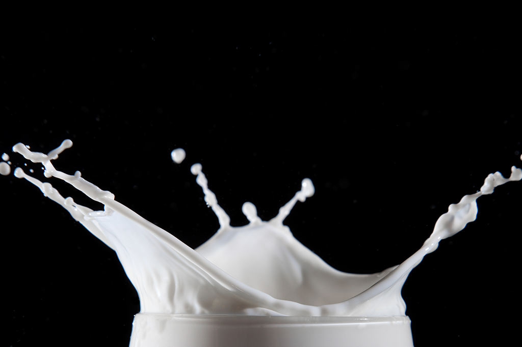 Bactérias do intestino das vacas são as principais responsáveis pelo gosto do leite