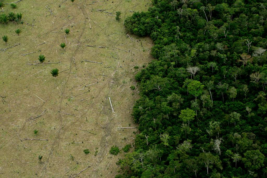 Negar os números do Inpe é terraplanismo ambiental