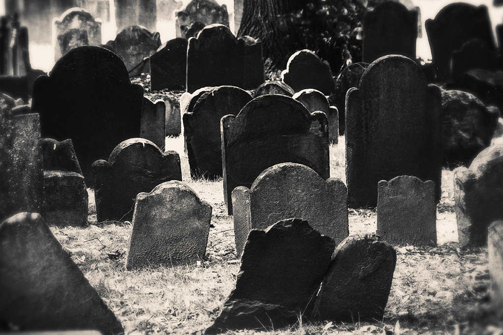 Enterros de beira de estrada: como criar cemitérios sustentáveis