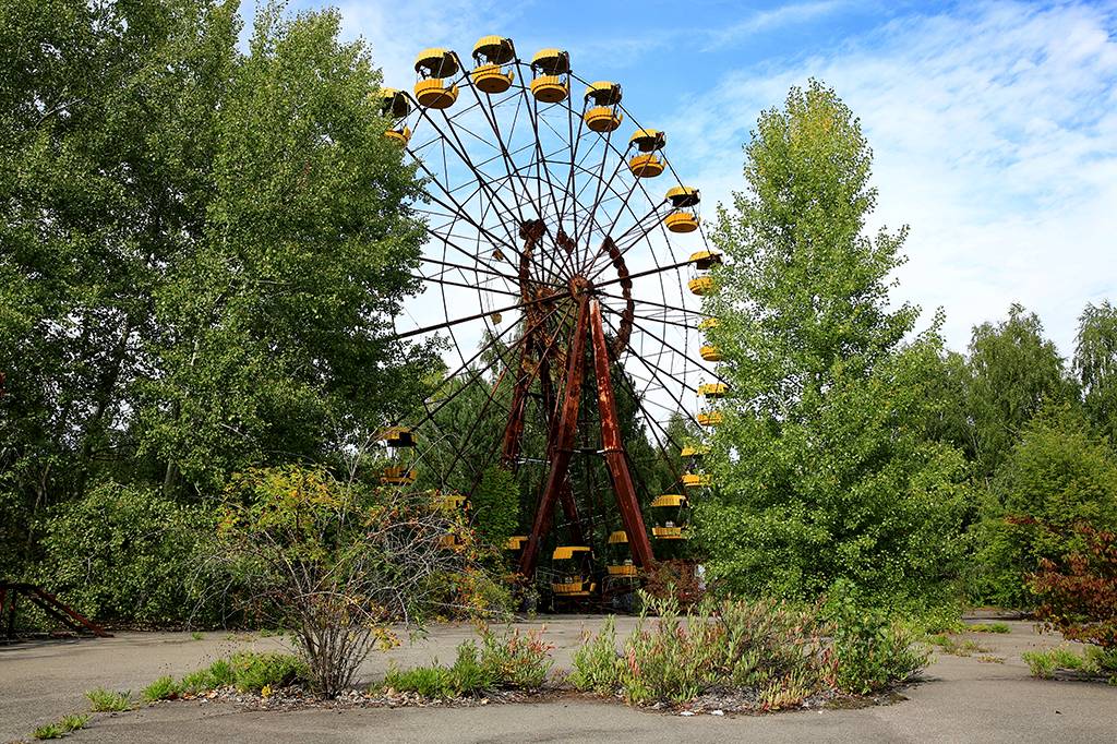Por que as plantas de Chernobyl não morreram com a radiação?