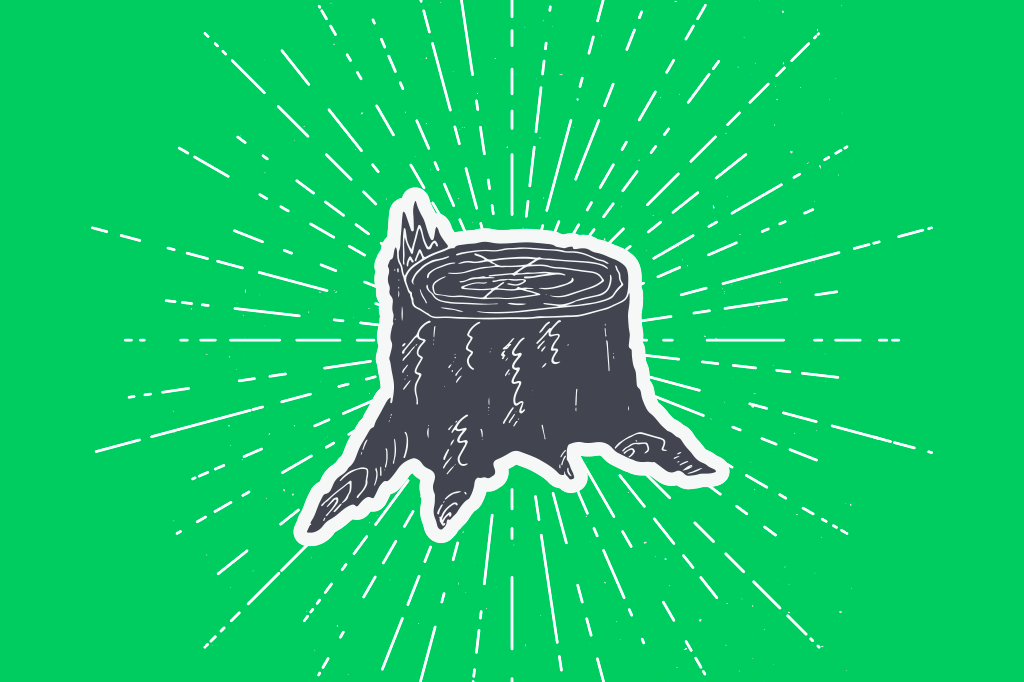 O toco de árvore que se recusa a morrer