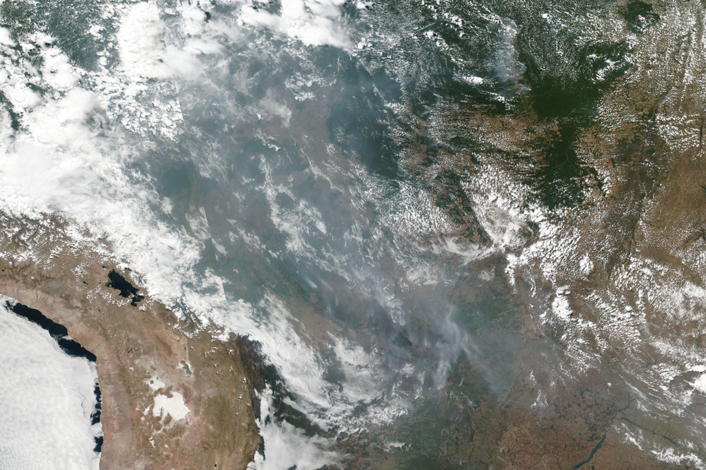 As forças ocultas por trás da política do desmatamento