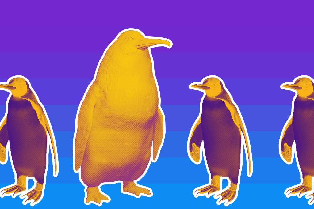 Fóssil de pinguim gigante é descoberto na Nova Zelândia