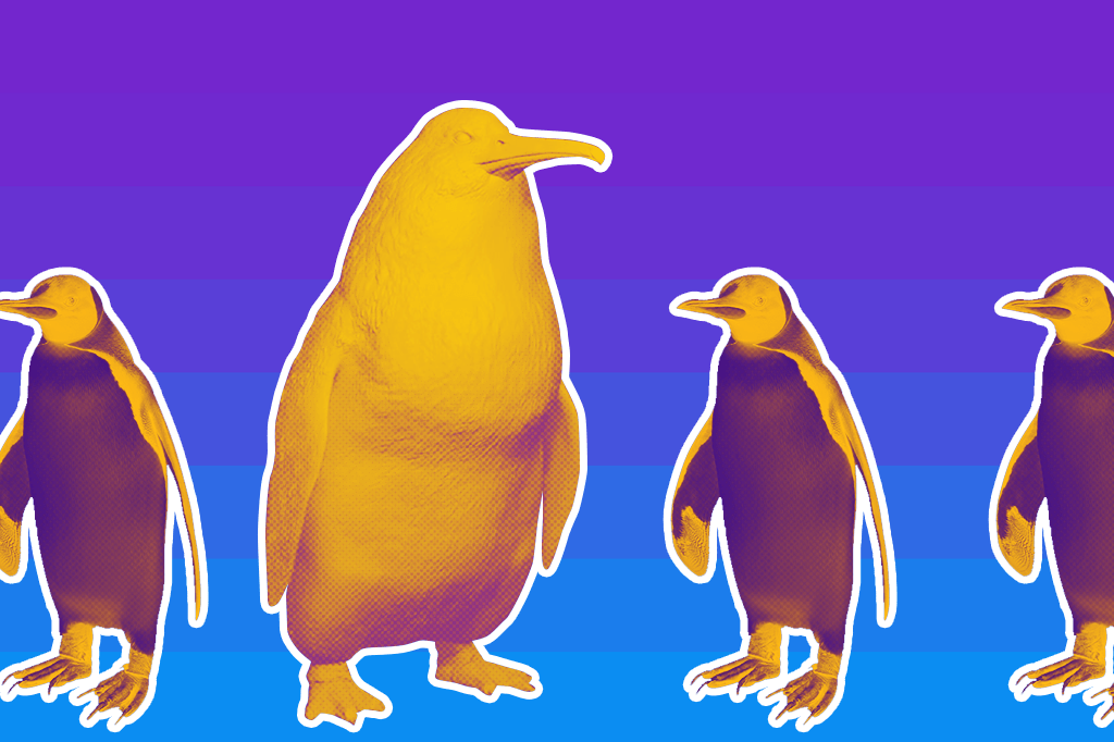 Fóssil de pinguim gigante é descoberto na Nova Zelândia