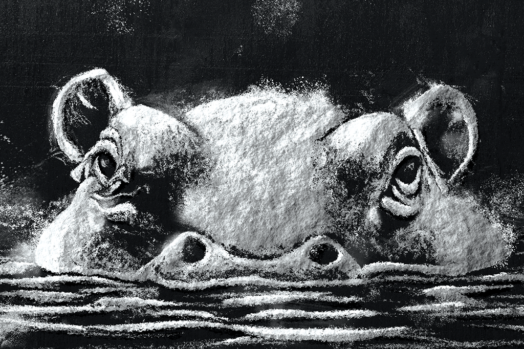 Os hipopótamos de Pablo Escobar