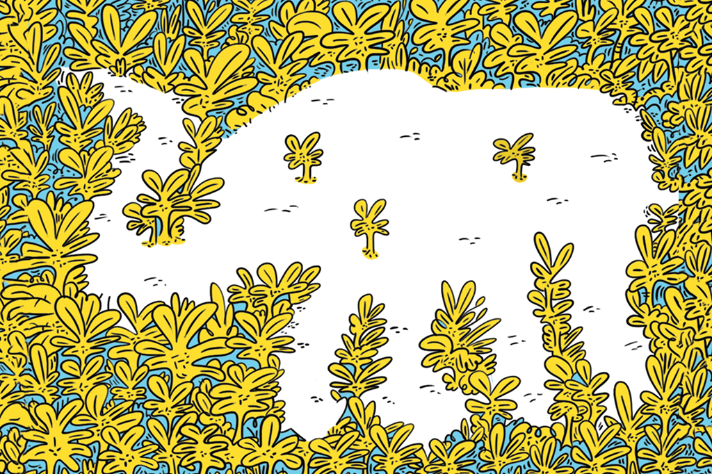 Morte de elefantes pode aumentar níveis de CO2 na atmosfera