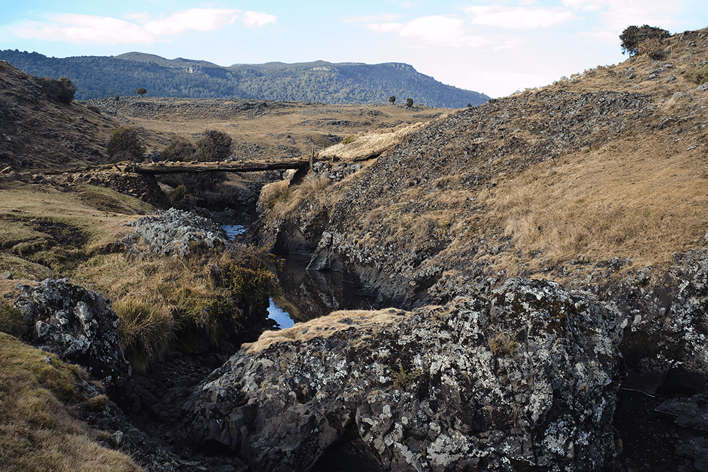 Esqueça o Everest: os primeiros humanos montanhistas eram da Etiópia