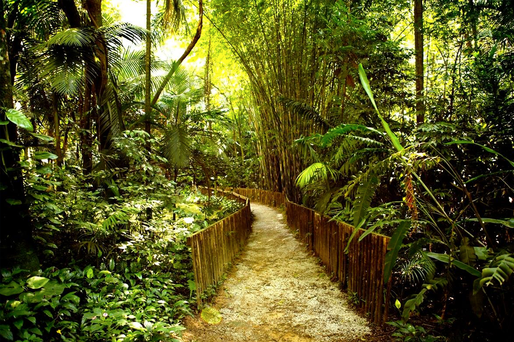 Biofobia: por que algumas pessoas odeiam o contato com a natureza?