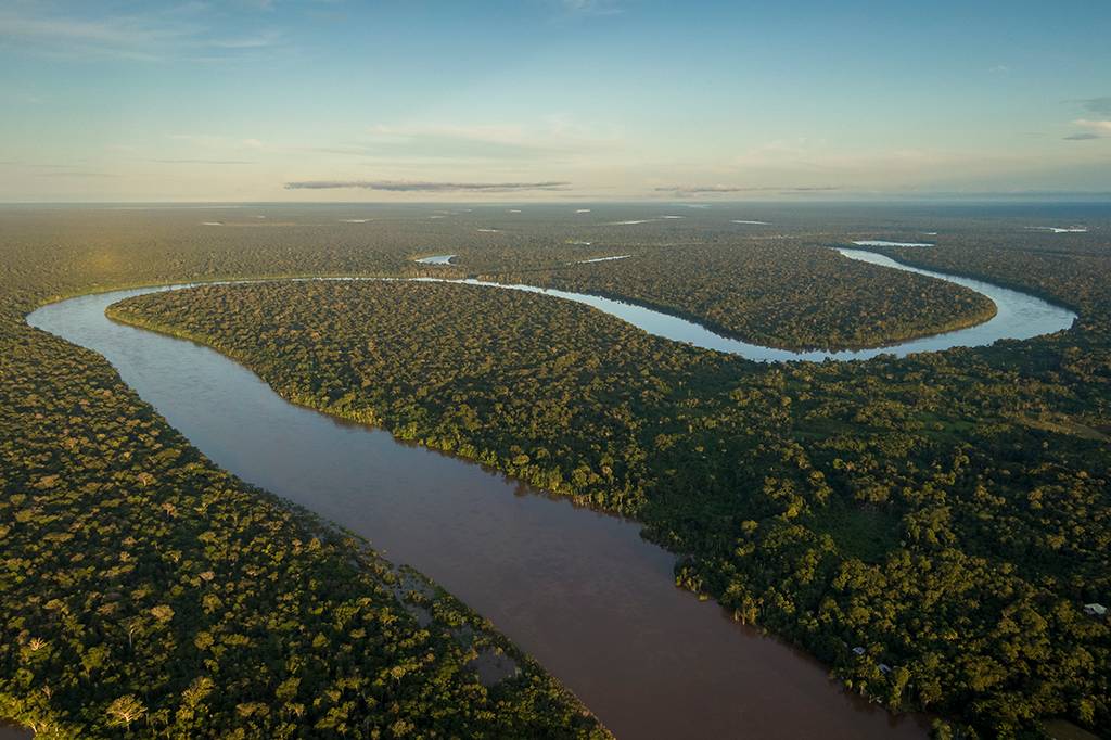 Esclarecimento: a Amazônia não é o pulmão do mundo