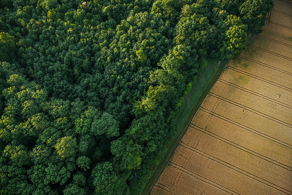 Um sexto das terras brasileiras é de propriedade desconhecida