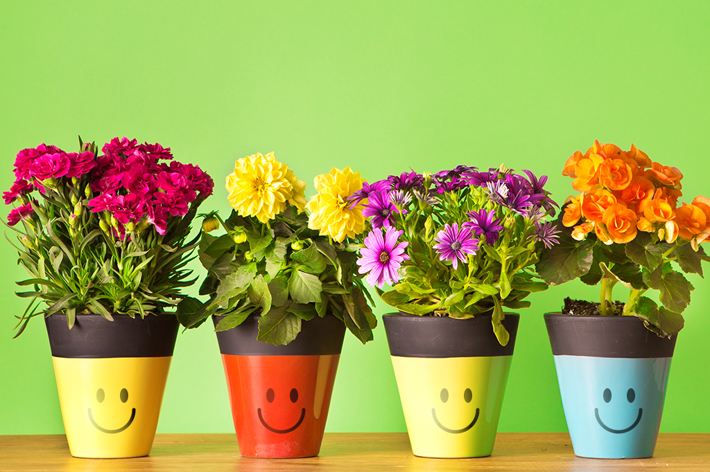 Médicos do Reino Unido recomendam cuidar de plantas para tratar depressão