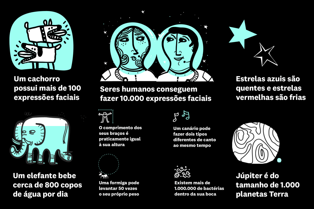 Curiosidades Exposição Acredite, É Verdade!
