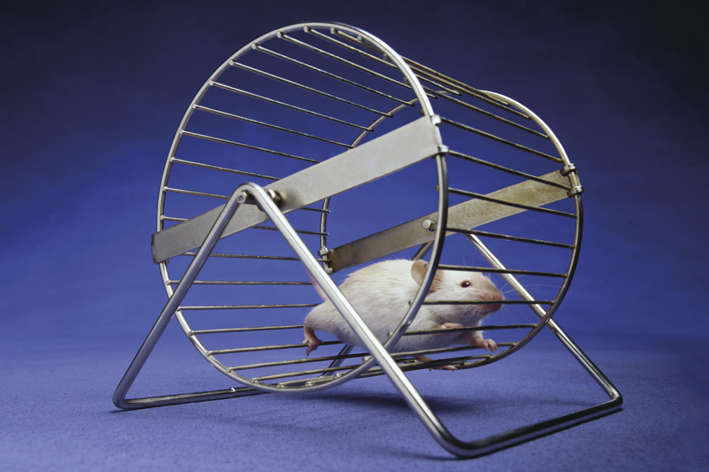 Estresse é mais contagioso do que parece