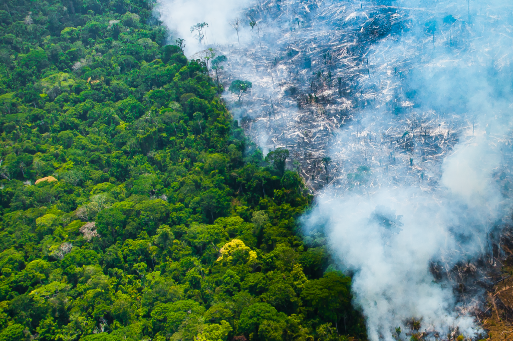 Amazônia sitiada: a relação entre queimadas e desmatamento