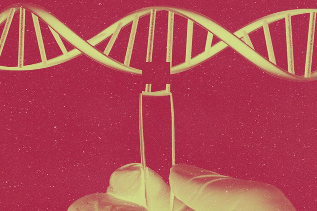 Entenda de uma vez: Engenharia Genética