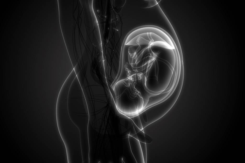 Partículas de fuligem podem chegar à parte interna da placenta, diz estudo