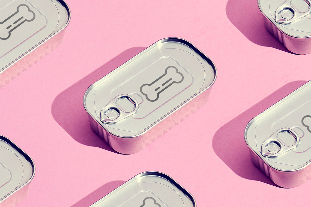 Ossos de cervo eram a “comida enlatada” do paleolítico