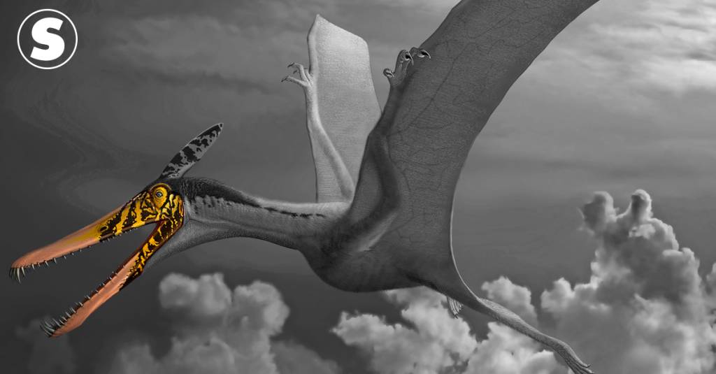 Novo método ajuda na reconstrução das cores de animais extintos