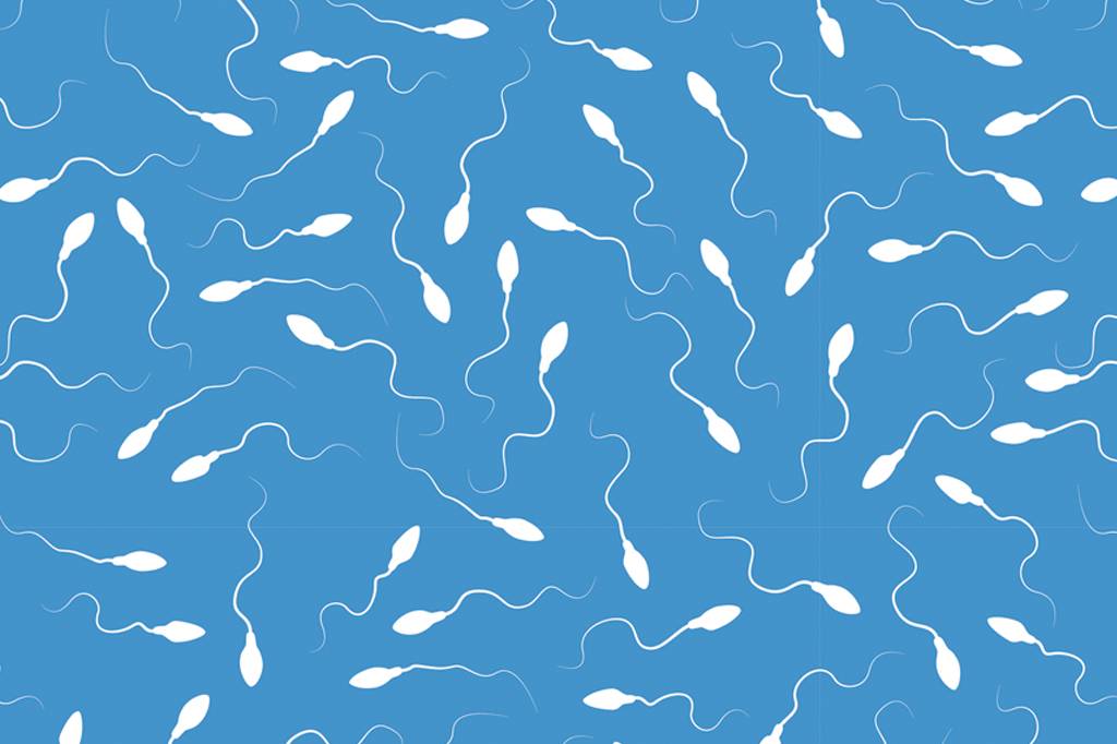 Quanto tempo um espermatozóide sobrevive dentro do corpo da mulher?
