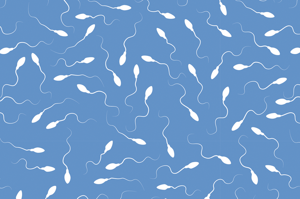 Quanto tempo um espermatozóide sobrevive dentro do corpo da mulher?