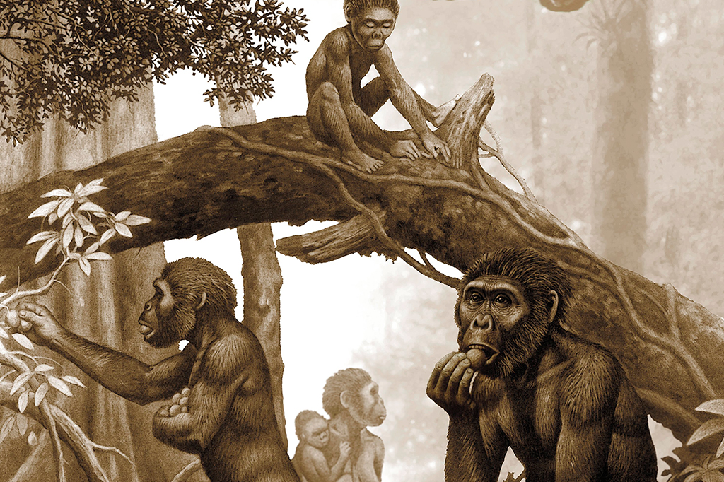 O ser humano não evoluiu na savana, diz estudo