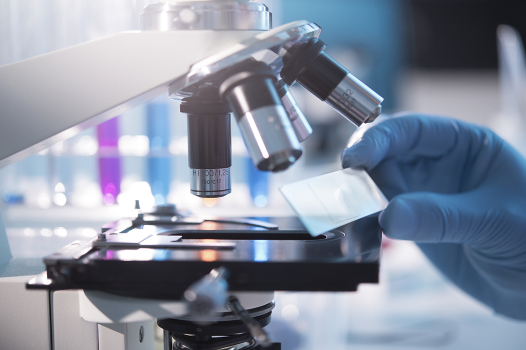 Doença semelhante à leishmaniose é descoberta em Sergipe