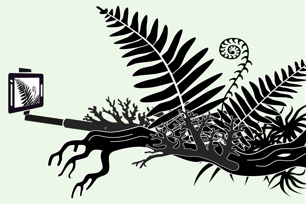 Zoológico de Londres faz primeira selfie de planta da história