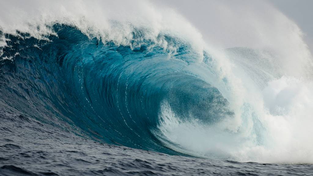 Como um tsunami de 1964 pode ter ajudado a espalhar um fungo mortal