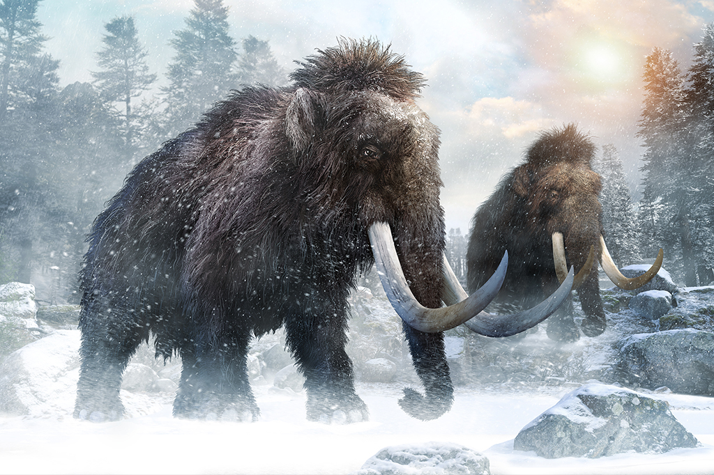 Humanos faziam armadilhas para pegar mamutes há 15 mil anos