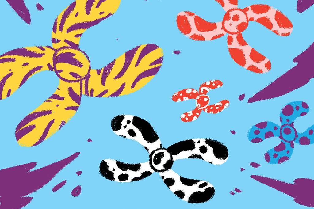 Qual é o animal com o maior número de cromossomos?