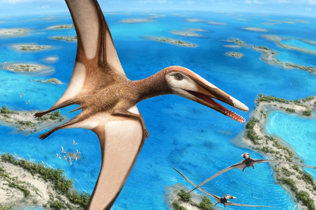 Cientistas do Museu Nacional participam da descoberta de novo pterossauro