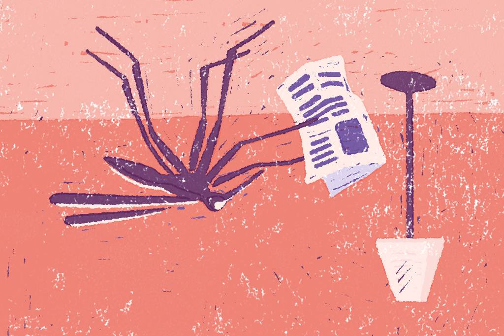 Como os insetos ficam de ponta-cabeça no teto sem cair?