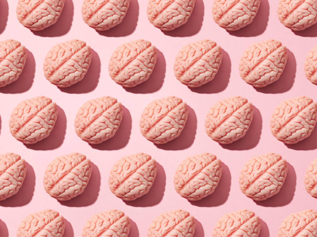 Pedaço de cérebro humano sobreviveu intacto por 2,6 mil anos