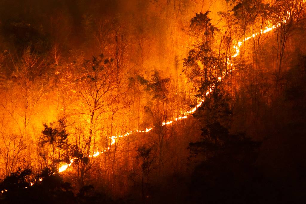 Fogo controlado pode ajudar a evitar grandes incêndios florestais, diz estudo