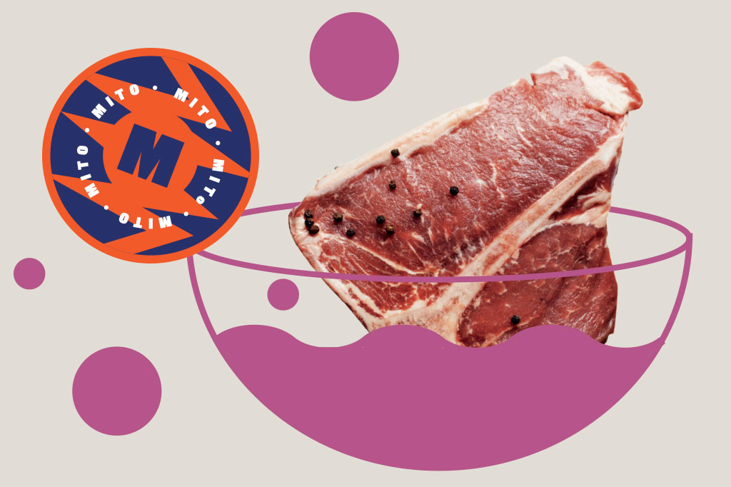 SI_60_mitos_alimentacao_Cap1_4