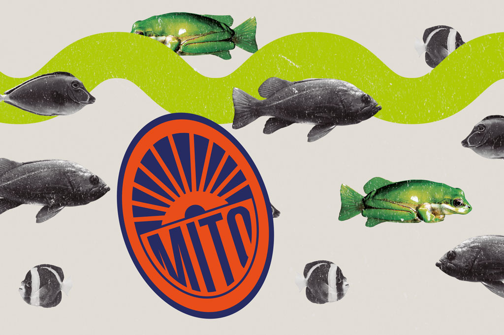 SI_60_mitos_alimentacao_Cap2_1