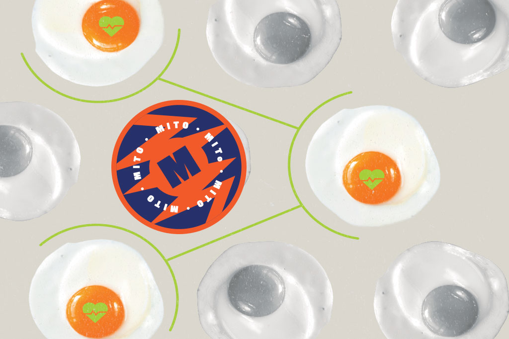 SI_60_mitos_alimentacao_Cap2_11