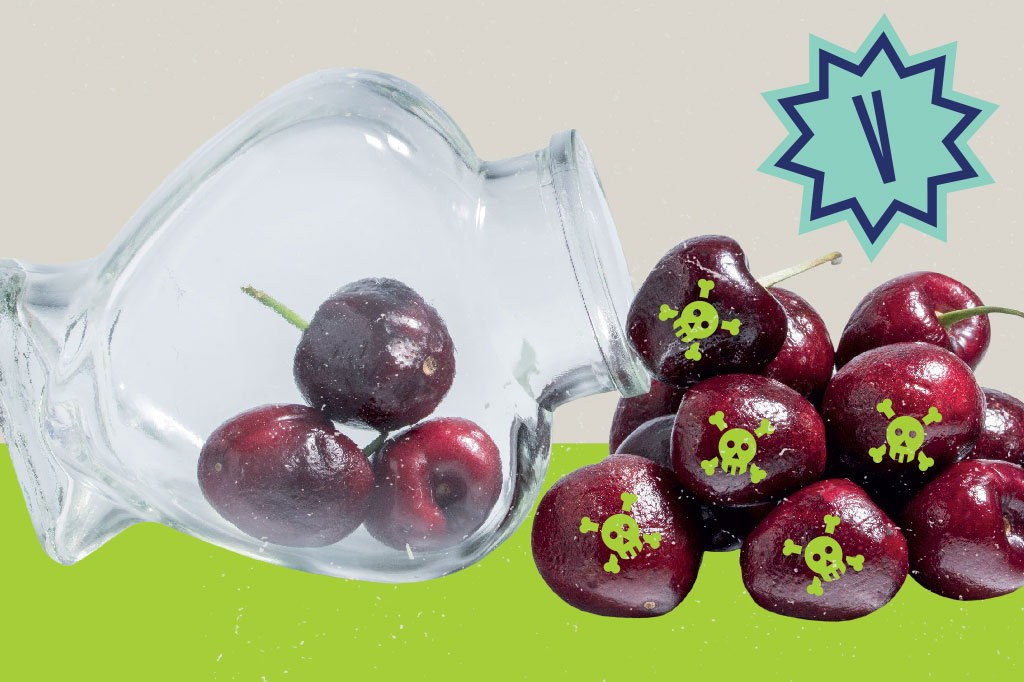 SI_60_mitos_alimentacao_Cap2_8