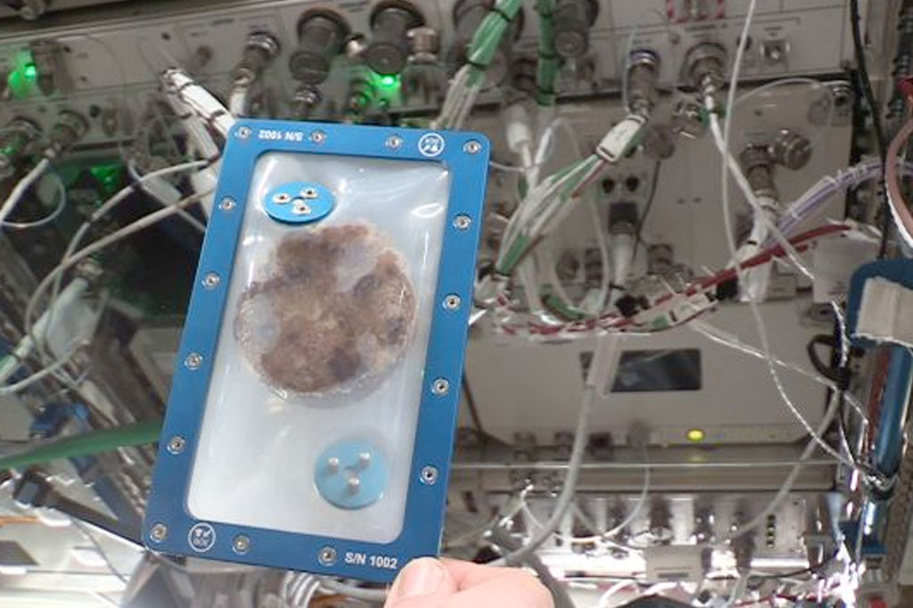 SI_biscoito_espacial_1