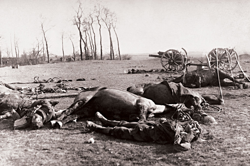 SI_Holocausto_animal_2 SI_Holocausto_animal_2