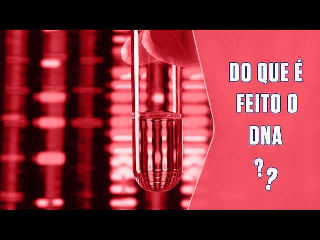 Do que é feito o DNA? | SUPER Responde