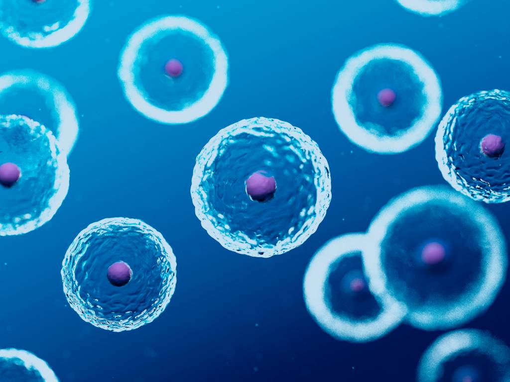 Cientistas podem ter encontrado células complexas de 2 bilhões de anos