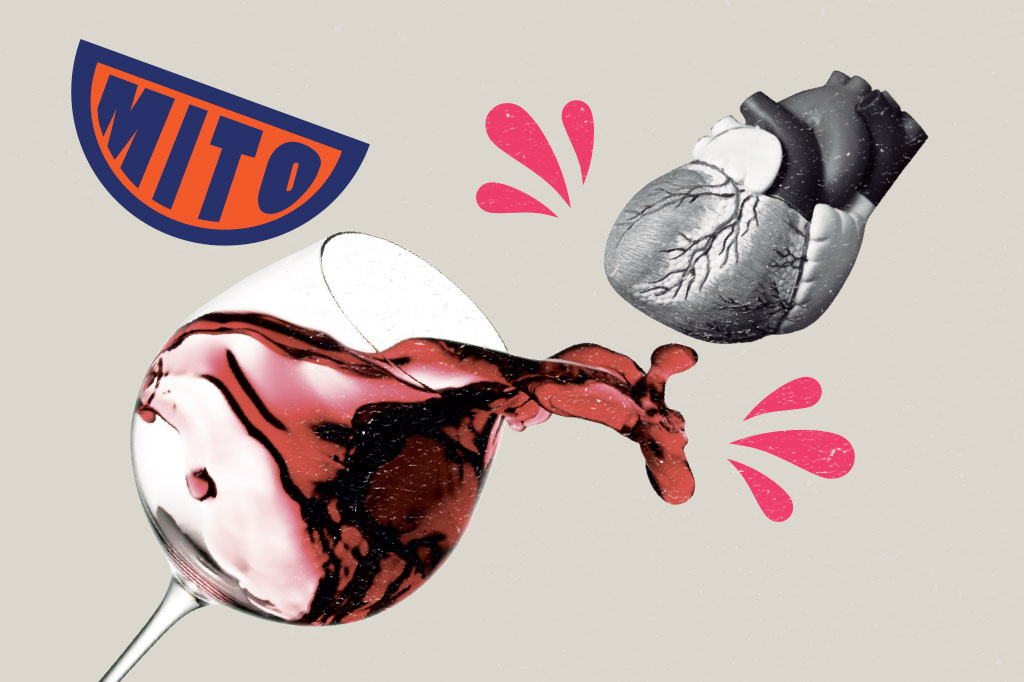 SI_60_mitos_alimentacao_Cap5_6