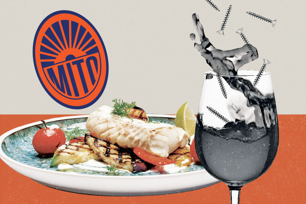 SI_60_mitos_alimentacao_Cap6_8