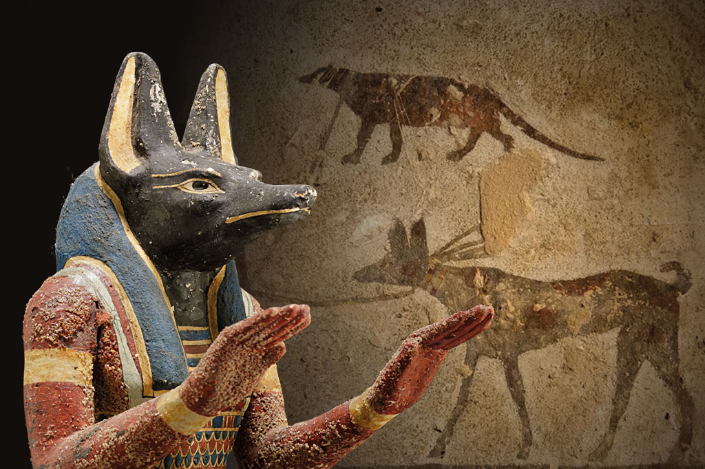 Humanos e cães: amizade até depois da morte