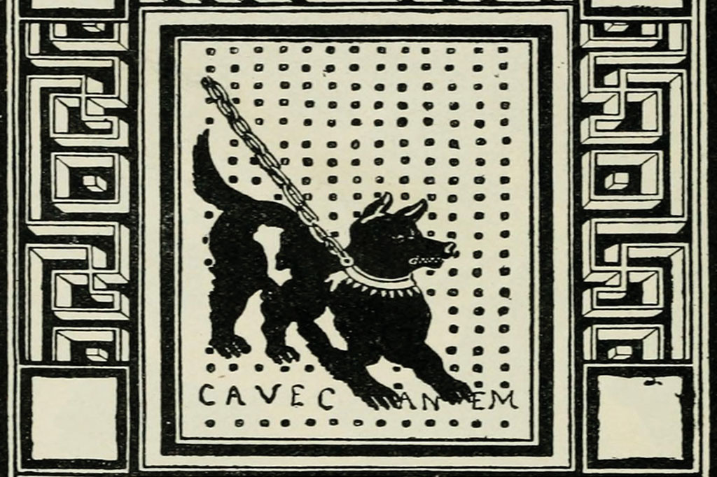 SI_Mundo_Cao_amigos_3