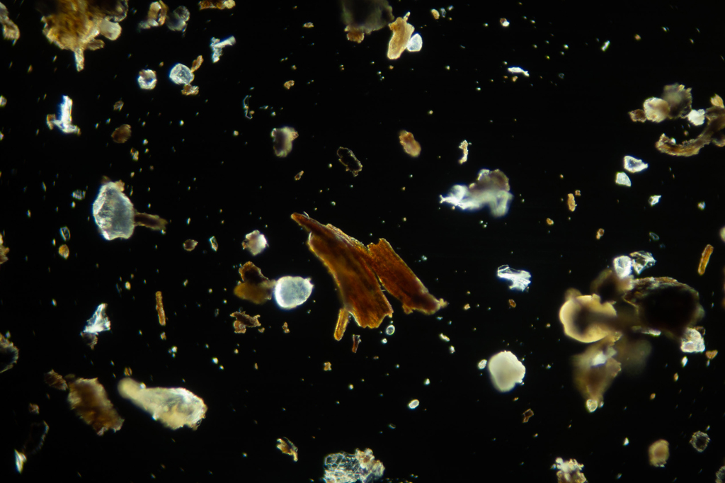 Que tipo de poluição existe dentro das casas?