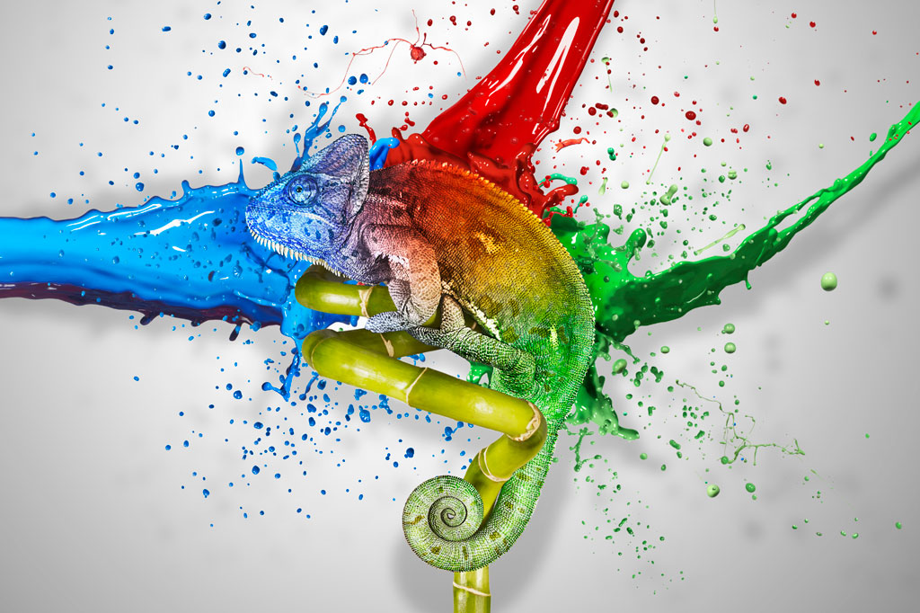 O camaleão muda de cor, mas qual seria a cor original dele?