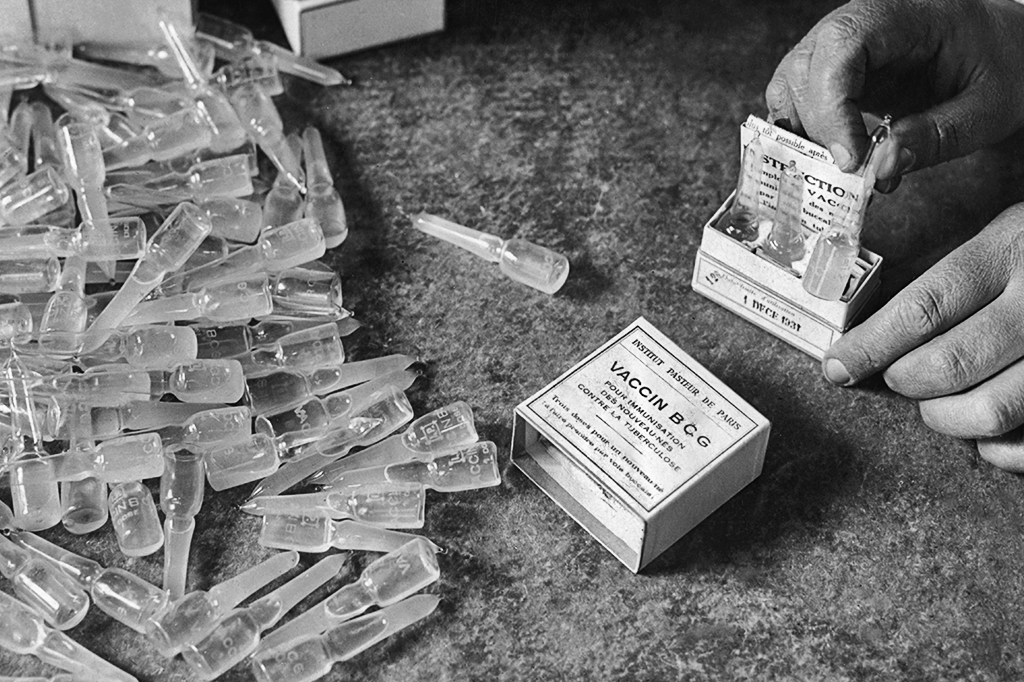 A vacina BCG pode diminuir os casos de coronavírus?