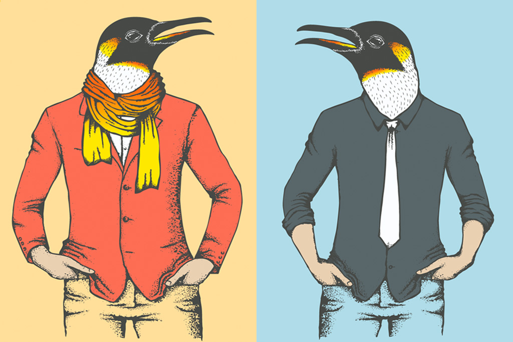 Cocô de pinguim pode deixar você “chapado”